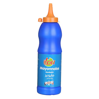 ايلو مايونيز ساندوتش 500 جم